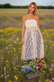 Dolly Dearest Smocked Lace Sheer Tube Dress