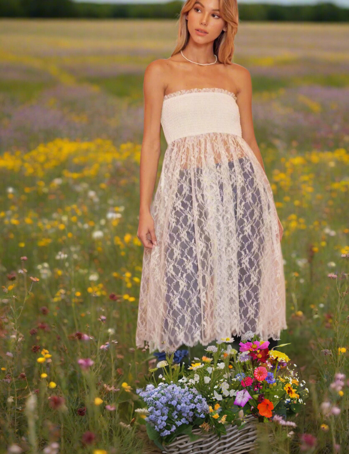 Dolly_Dearest_Tube_Dress_1.png