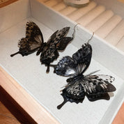 3-D Butterfly Earrings